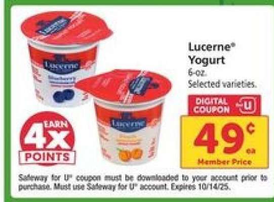 Lucerne Yogurt