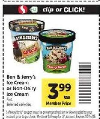 Ben & Jerry's Ice Cream or Non-Dairy Ice Cream