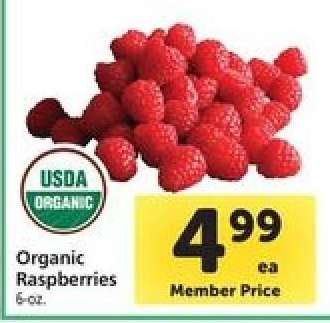 Organic Raspberries