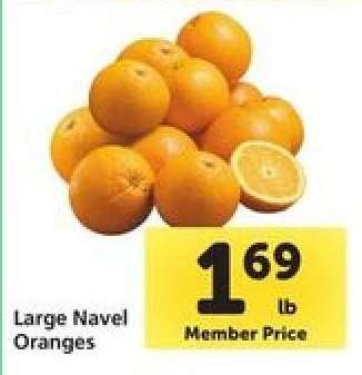 Large Navel Oranges