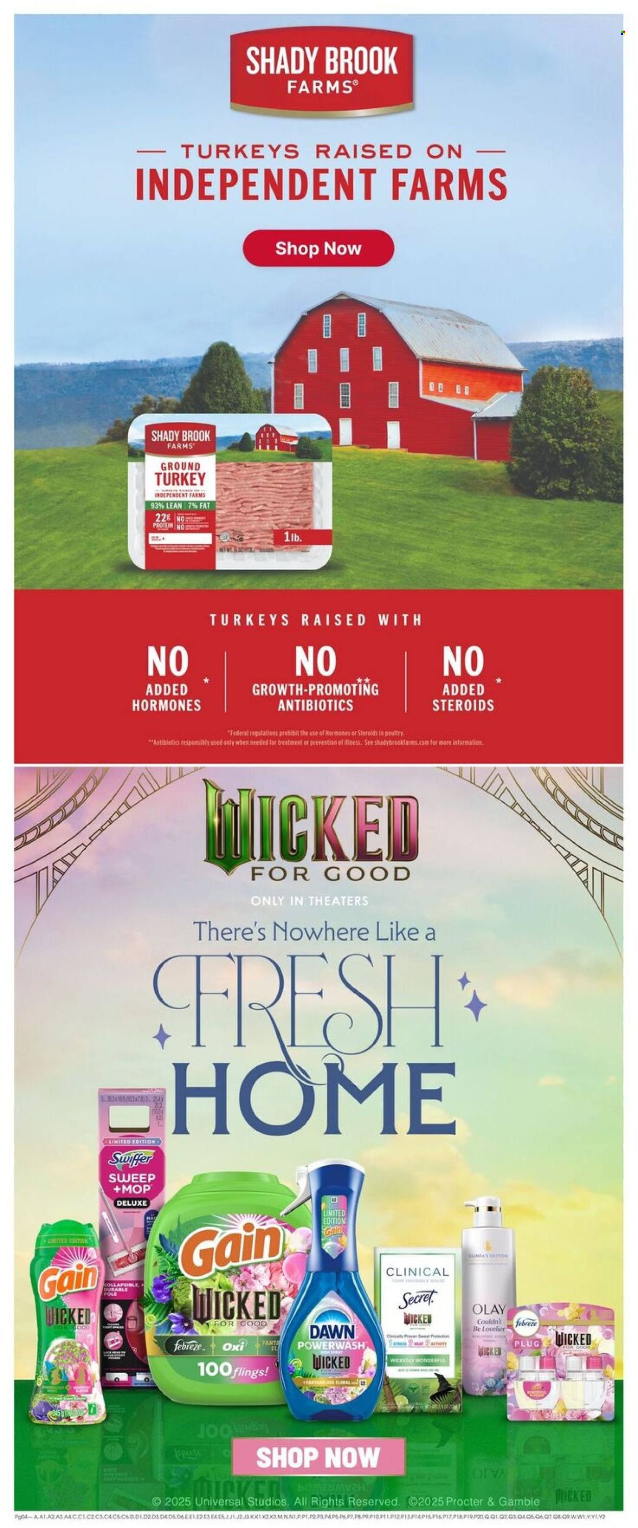Giant Eagle ad - 10/09/2025 - 10/15/2025. Page 6