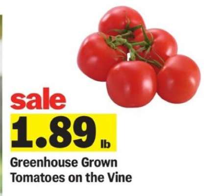 Greenhouse Grown Tomatoes on the Vine