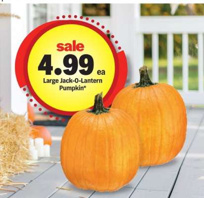 Large Jack O' Lantern Pumpkin