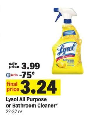 Lysol All Purpose or Bathroom Cleaner