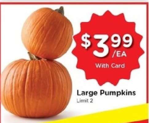 Large Pumpkins