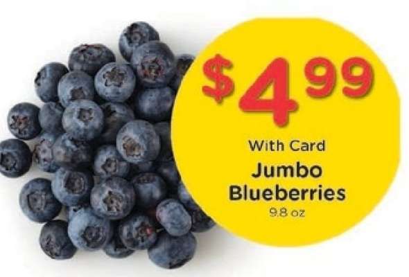 Jumbo Blueberries