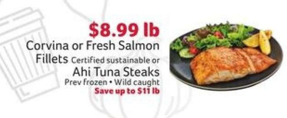 Corvina or Fresh Salmon Fillets