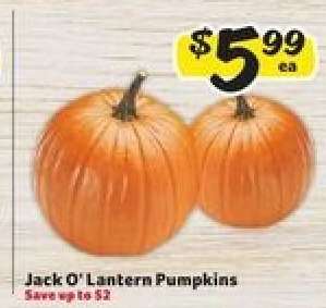 Jack-O-Lantern Pumpkins