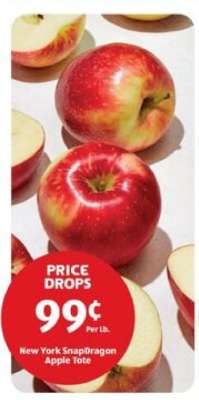 New York SnapDragon Apple Tote