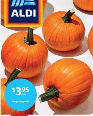 Large Pumpkins