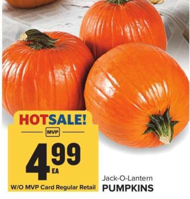 Jack-O-Lantern Pumpkins