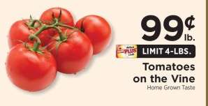 Tomatoes on the Vine