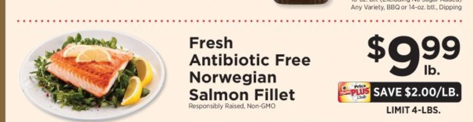 Fresh Antibiotic Free Norwegian Salmon Fillet