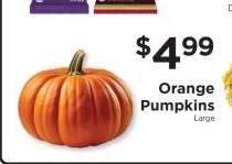 Orange Pumpkins