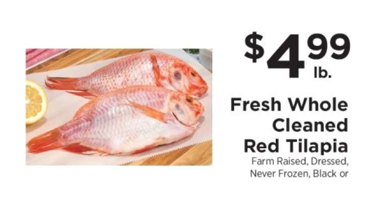 Fresh Whole Cleaned Red Tilapia
