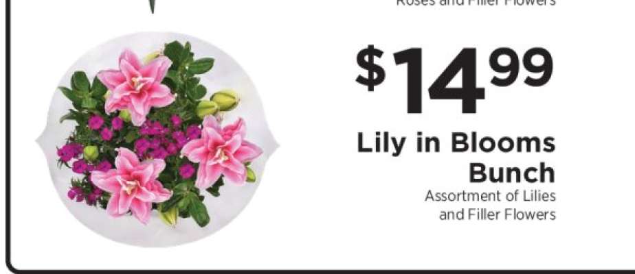 Lily in Blooms Bunch