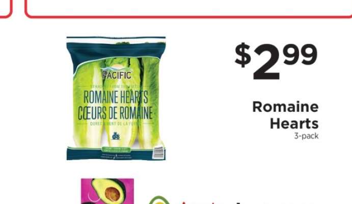 Romaine Hearts