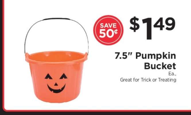 7.5" Pumpkin Bucket