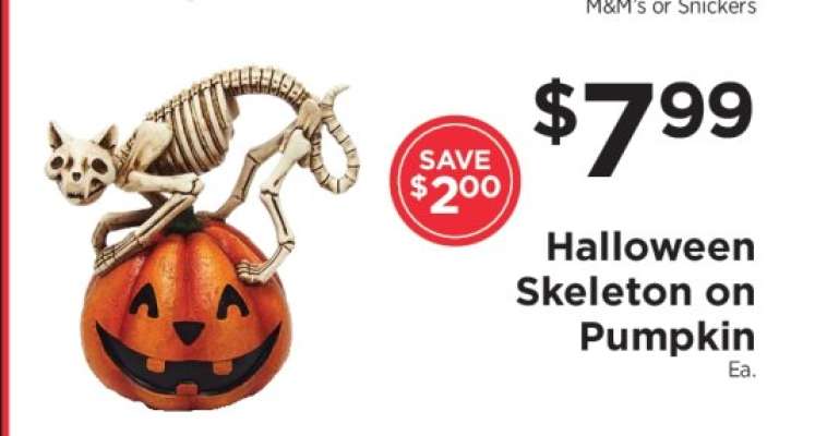Halloween Skeleton on Pumpkin