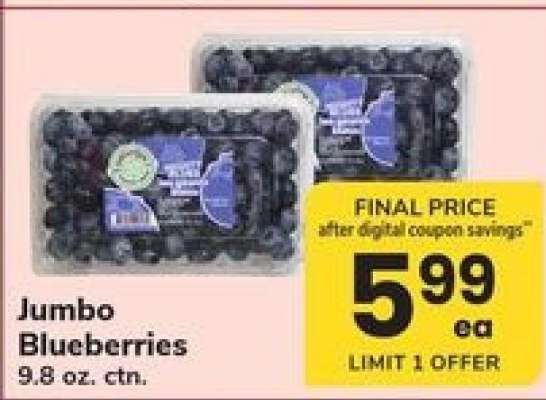 Jumbo Blueberries