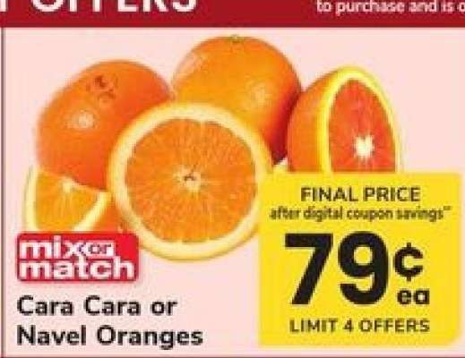Cara Cara or Navel Oranges