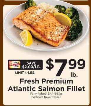 Fresh Premium Atlantic Salmon Fillet