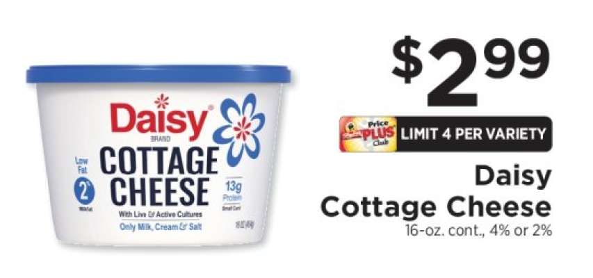 Daisy Cottage Cheese