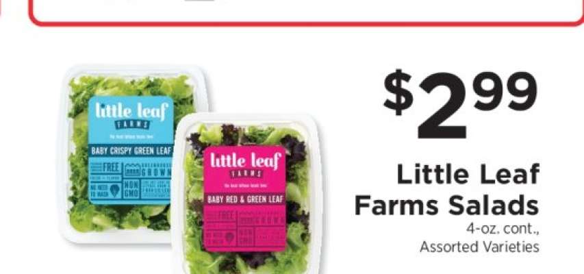 Little Leaf Farms Salads
