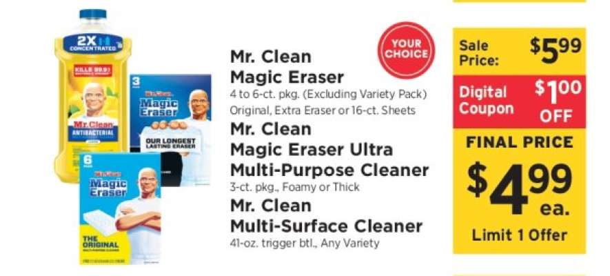 Mr. Clean Magic Eraser*