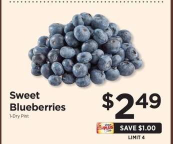 Sweet Blueberries