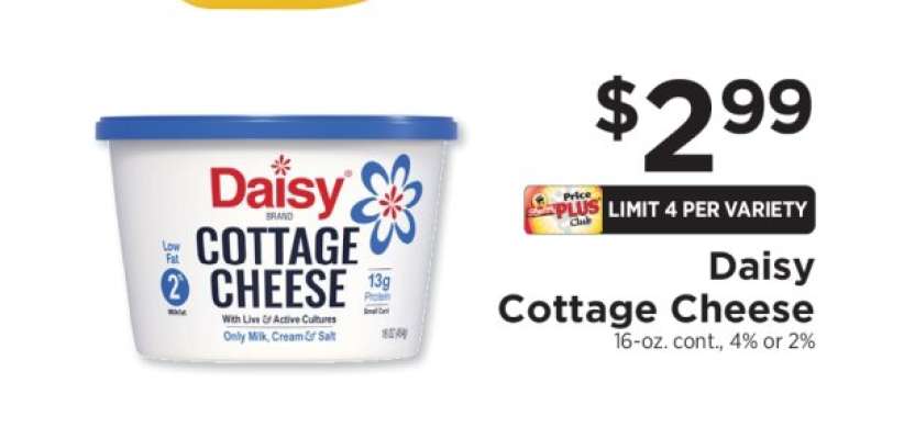 Daisy Cottage Cheese