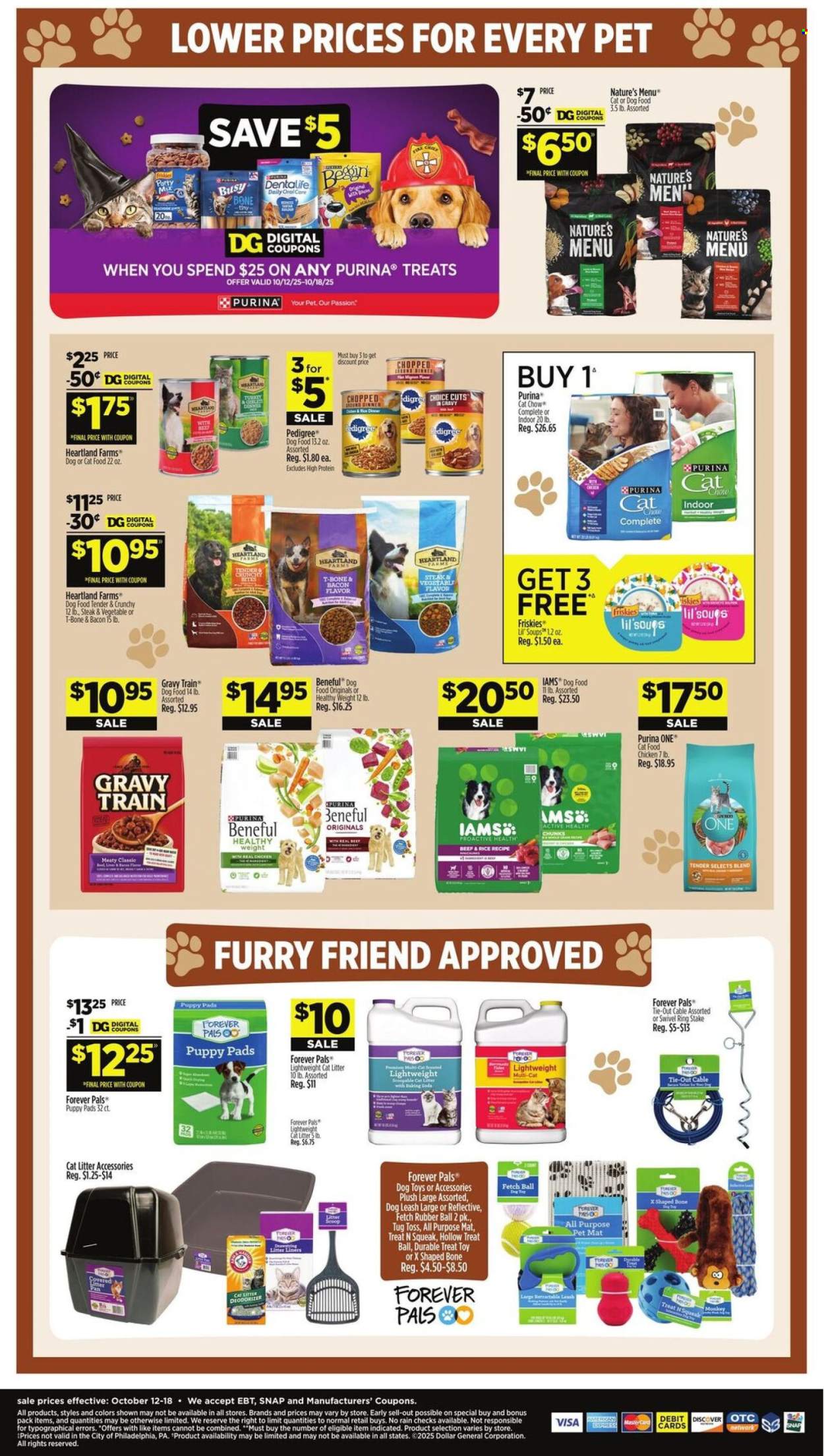 Dollar General ad - 10/12/2025 - 10/18/2025. Page 13