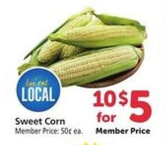 Sweet Corn