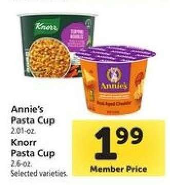 Annie's Pasta Cup / Knorr Pasta Cup