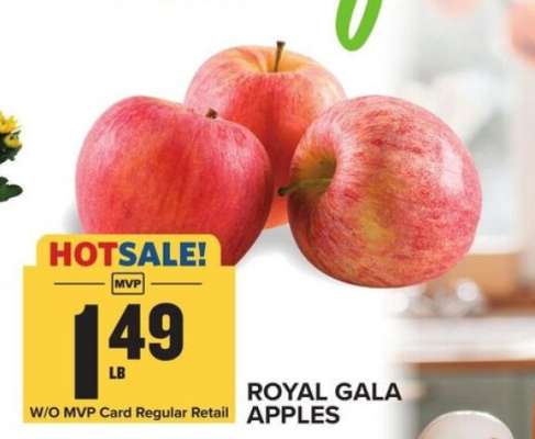 ROYAL GALA APPLES