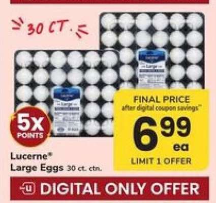 Lucerne Large Eggs