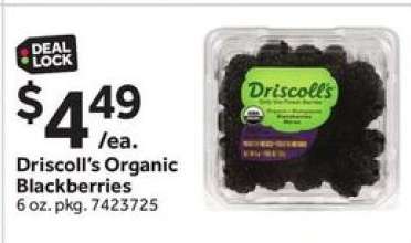 Driscoll's Organic Blackberries