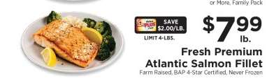 Fresh Premium Atlantic Salmon Fillet