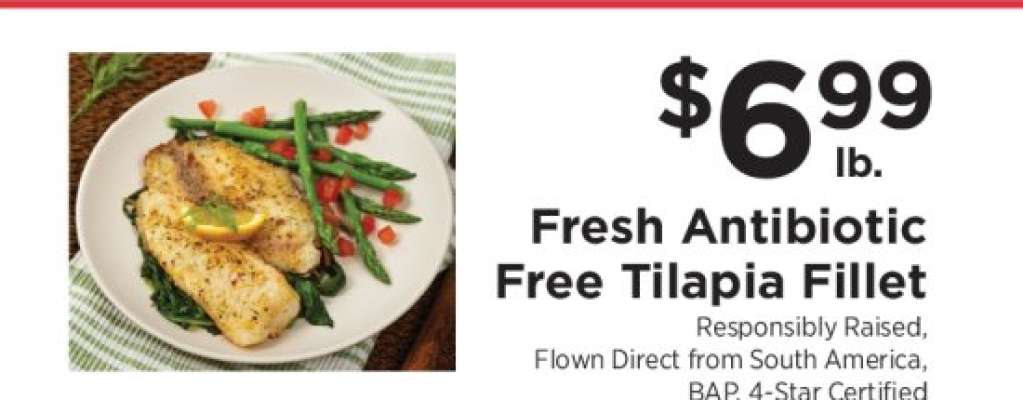 Fresh Antibiotic Free Tilapia Fillet
