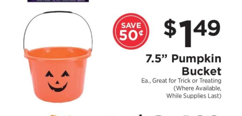 Pumpkin Bucket