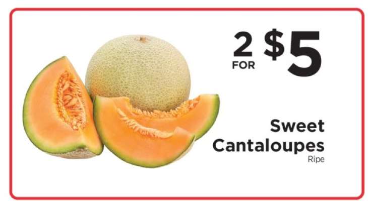 Sweet Cantaloupes