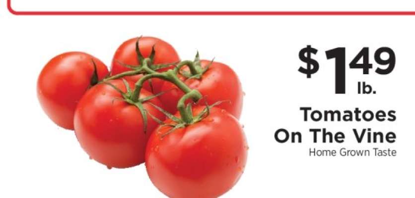 Tomatoes on the Vine