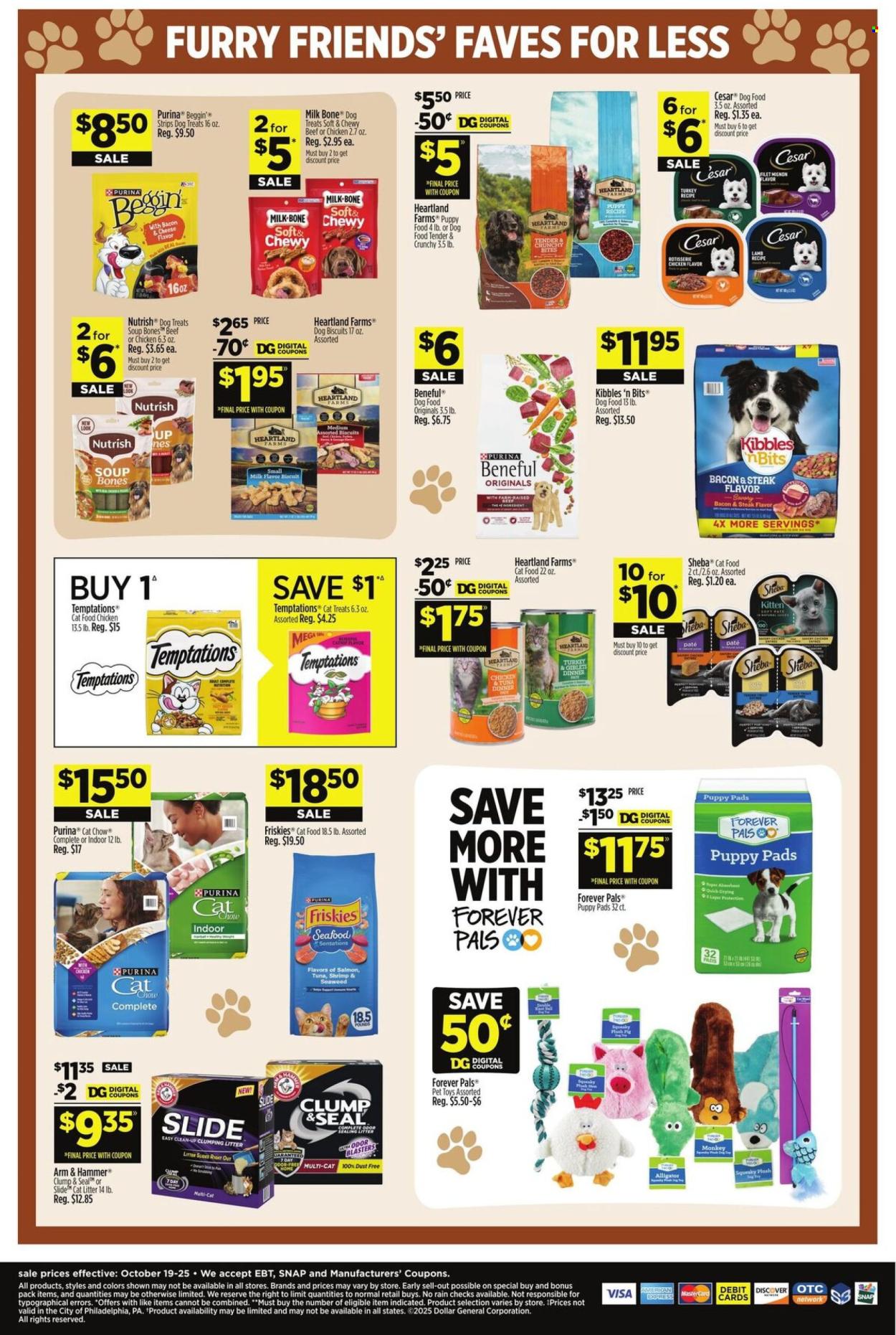 Dollar General ad - 10/19/2025 - 10/25/2025. Page 14