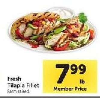 Fresh Tilapia Fillet