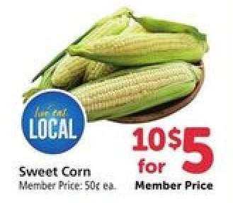 Sweet Corn