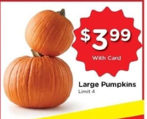 Large Pumpkins