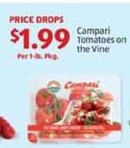 Campari Tomatoes on the Vine