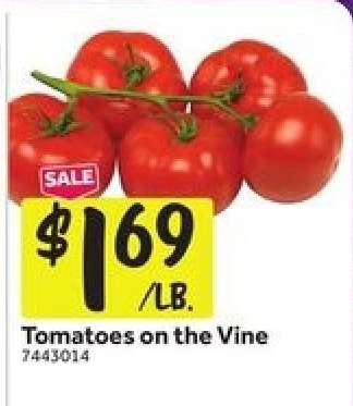 Tomatoes on the Vine