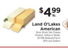 Land O Lakes American