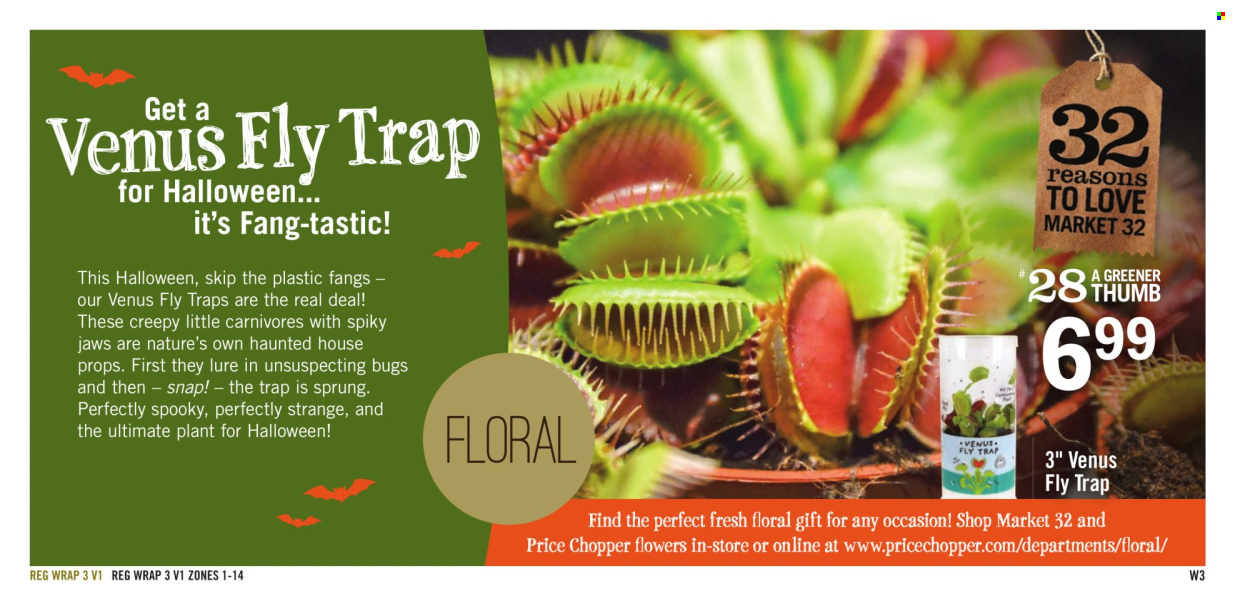 Price Chopper ad - 10/26/2025 - 11/01/2025. Page 19
